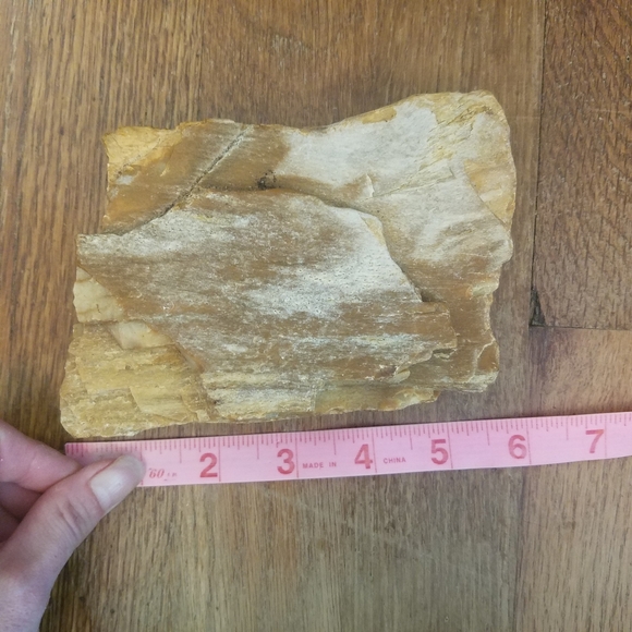 Petrified Wood Display Specimen Mitchell County Nc. 1lb 12oz. - Picture 5 of 10